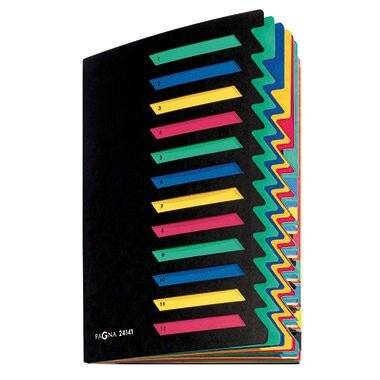 PAGNA Ordnungsmappe Deskorganizer 24151- Verwendung für Papierformat: DIN A4