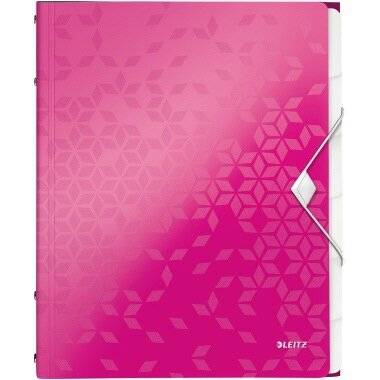 Leitz Ordnungsmappe WOW 46330023 DIN A4 Fächerblocks: grau 6 Fächer