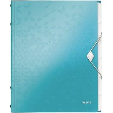 Leitz Ordnungsmappe WOW 46330051 DIN A4 Fächerblocks: grau 6 Fächer