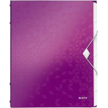 Leitz Ordnungsmappe WOW 46330062 DIN A4 Fächerblocks: grau 6 Fächer