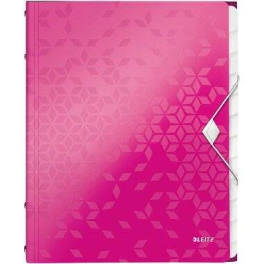 Leitz Ordnungsmappe WOW 46340023 DIN A4 Fächerblocks: grau 12 Fächer