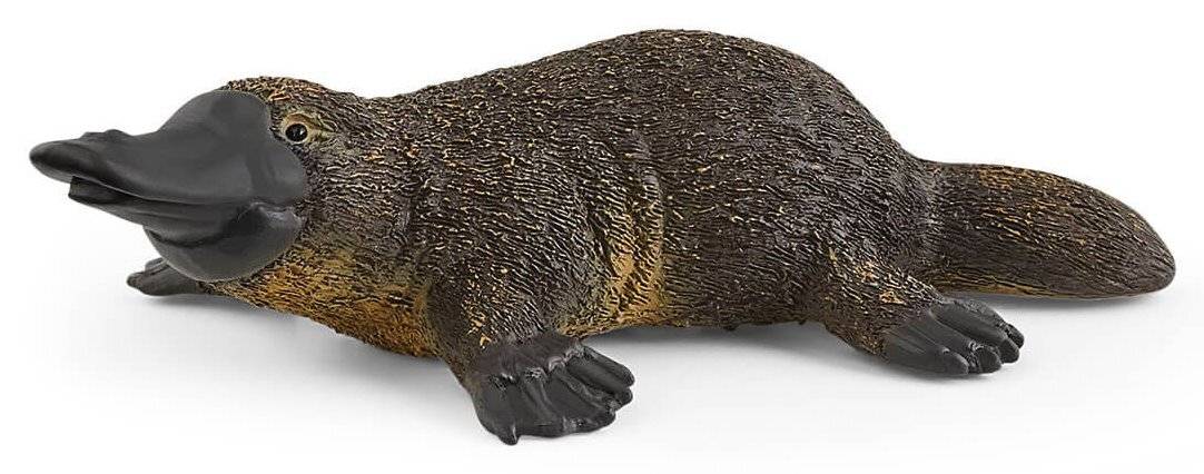 schleich WILD LIFE Schnabeltier 14840