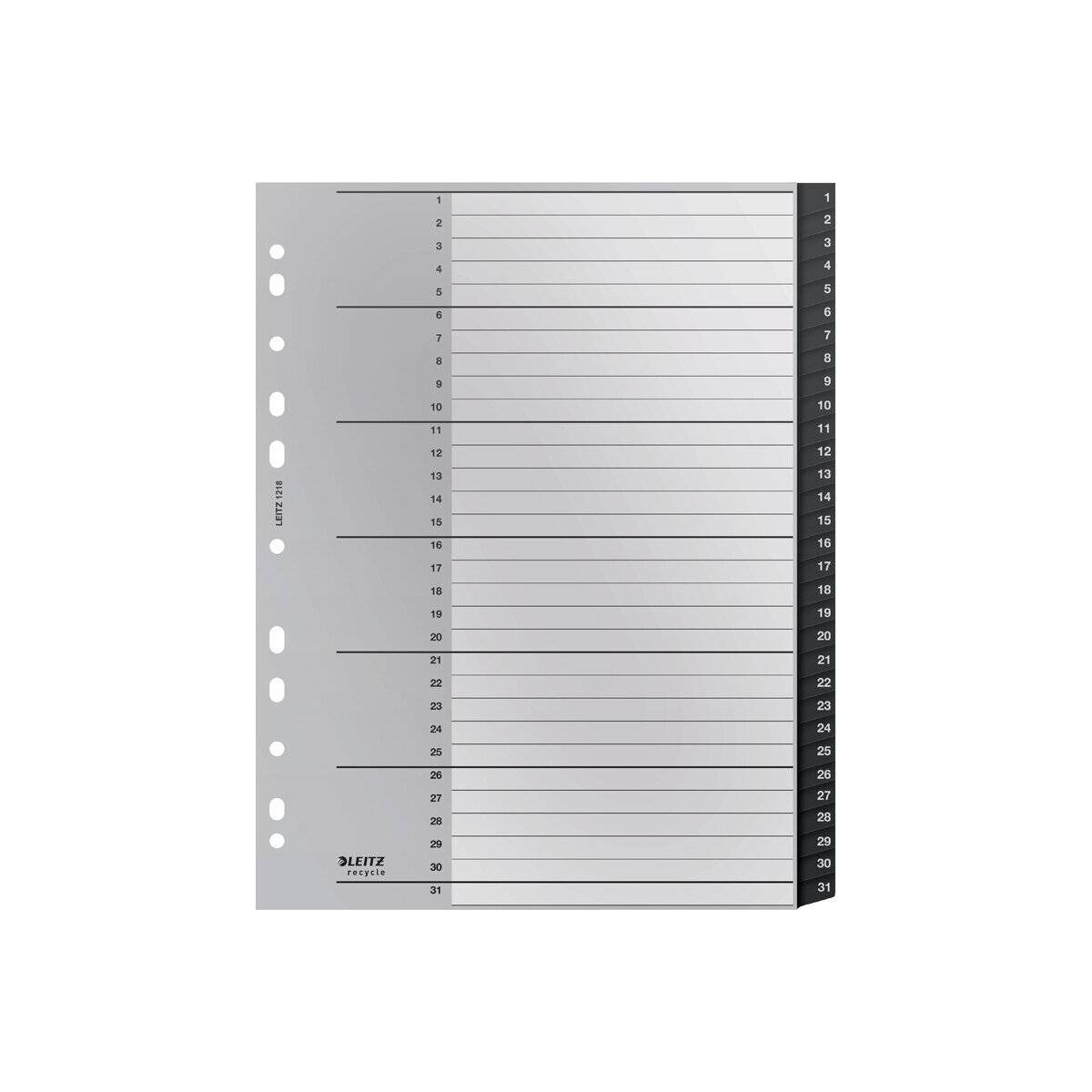 Leitz Register Recycle 12180000 A4 1-31 schwarz