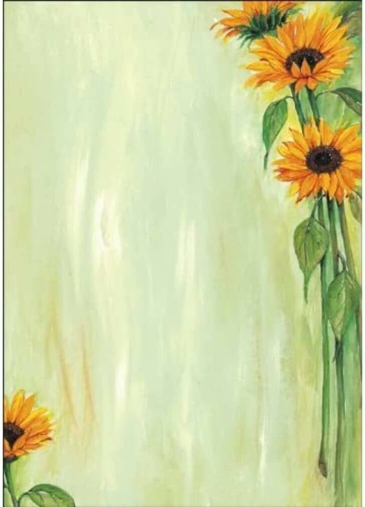 SIGEL Motivpapier Sunflower Motiv DIN A4 90 g/qm 25 Blatt