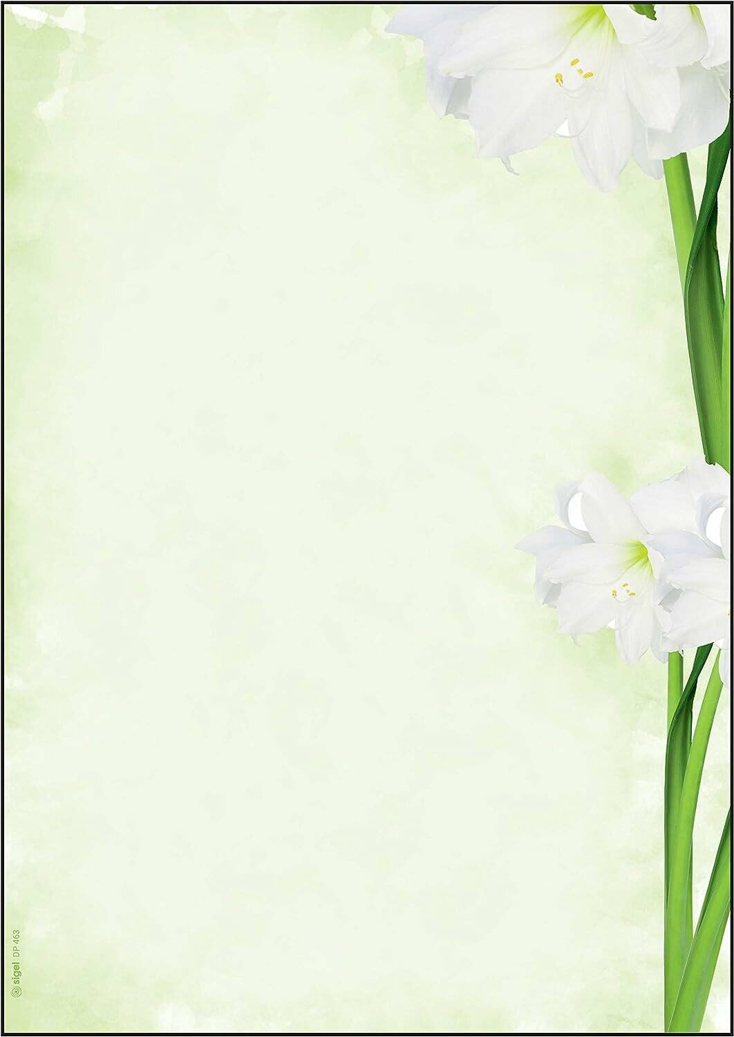 SIGEL Motivpapier Green Flower Motiv DIN A4 90 g/qm 25 Blatt