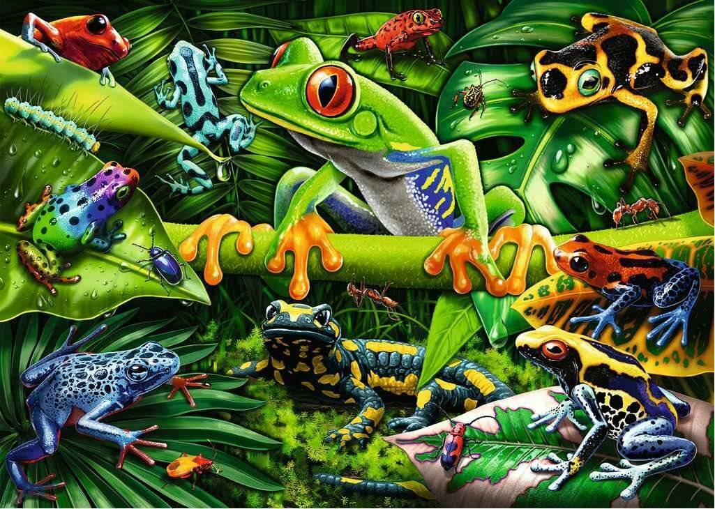 RAVENSBURGER Puzzle Amazing Amphibians 35 Teile