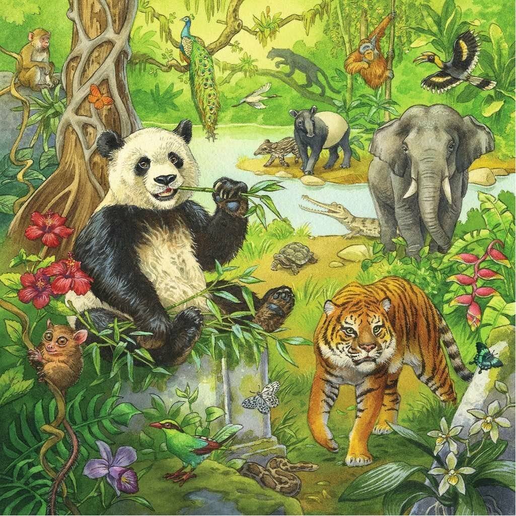 RAVENSBURGER Puzzle Dschungeltiere 3x49 Teile