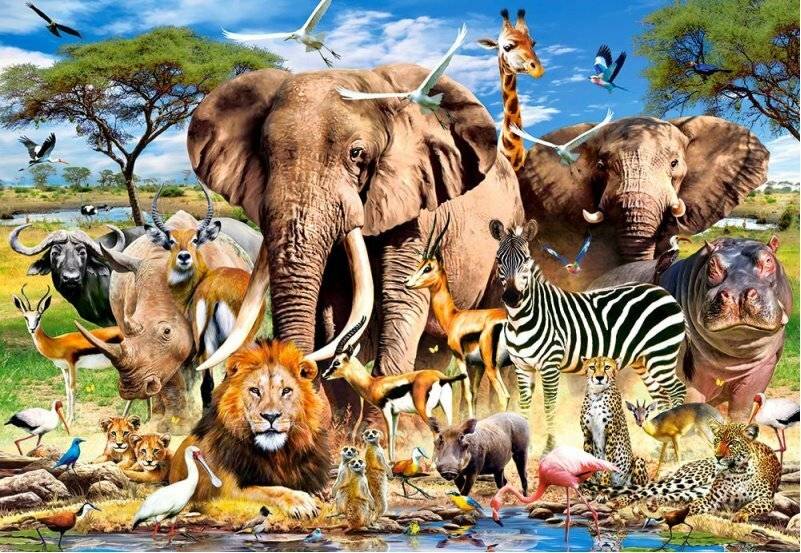 CASTORLAND Puzzle Tiere der Savanne 260 Teile