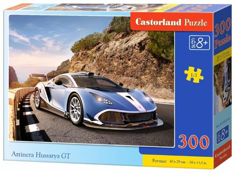 CASTORLAND Puzzle Arrinera Hussarya GT 300 Teile