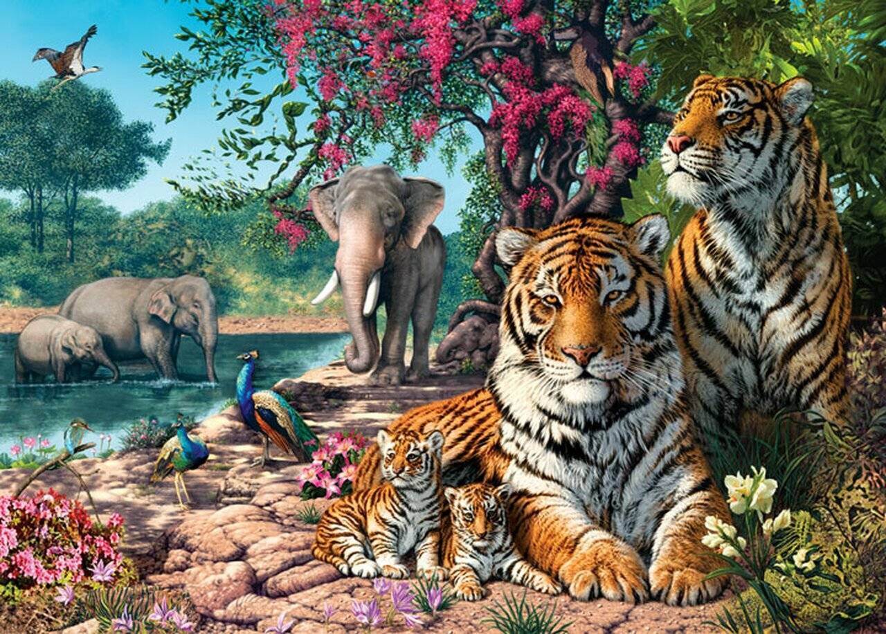CASTORLAND Tiger Sanctuary Puzzle 300 Teile