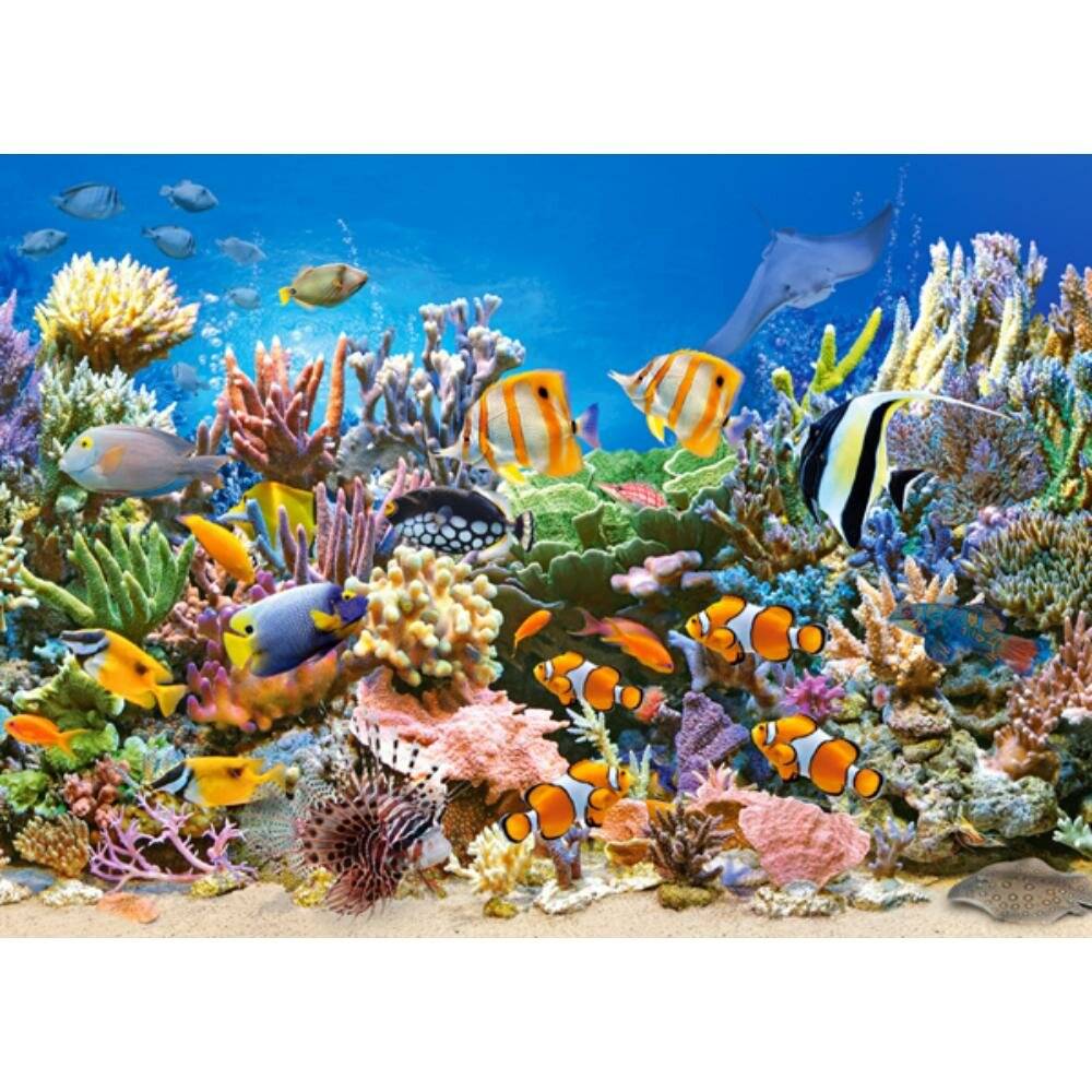 CASTORLAND Puzzle Meeresfarben 260 Teile