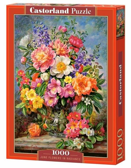 CASTORLAND Puzzle Juni Blumen 1000 Teile