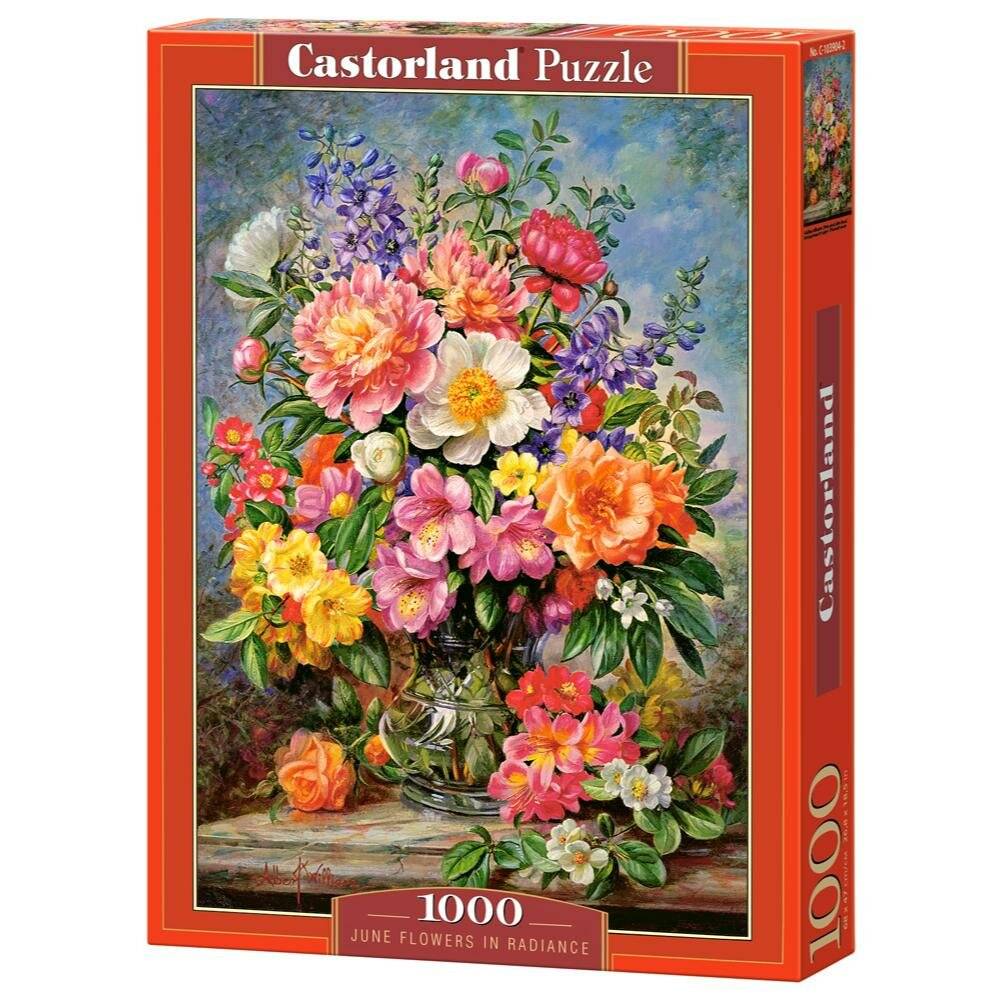 CASTORLAND Puzzle Juni Blumen 1000 Teile