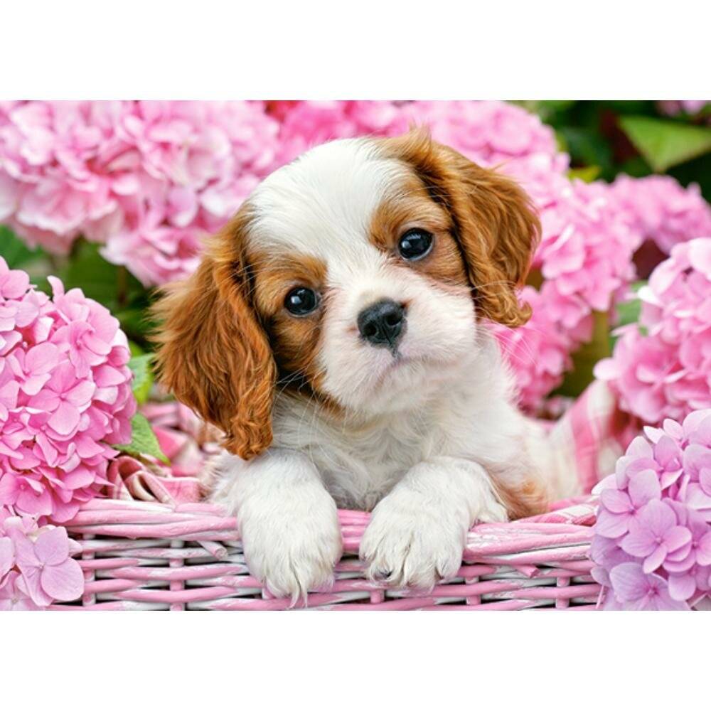CASTORLAND Puzzle Welpe in rosa Blumen 180 Teile