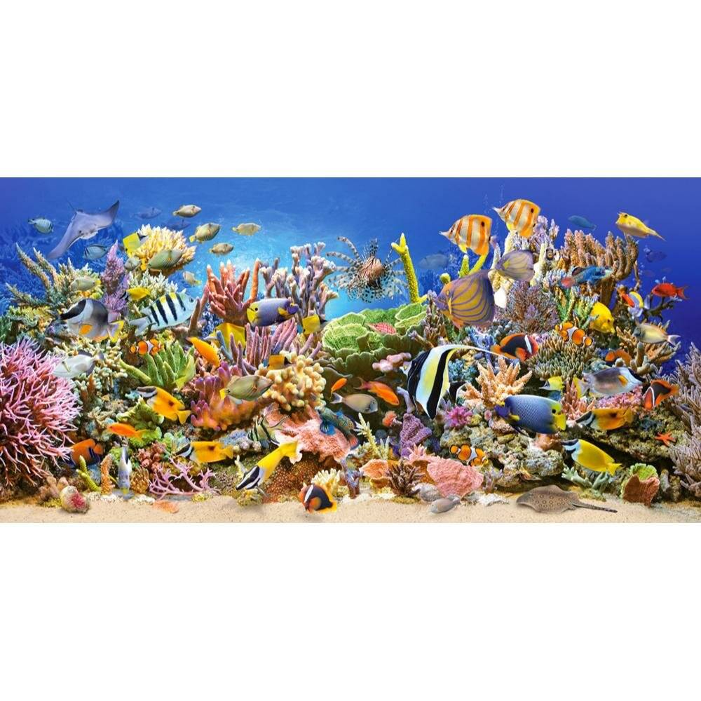 CASTORLAND Puzzle Unterwasserwelt 4000 Teile