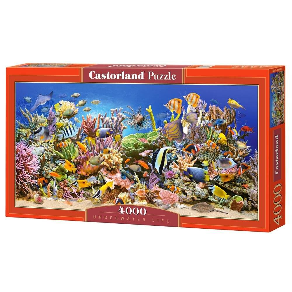 CASTORLAND Puzzle Unterwasserwelt 4000 Teile