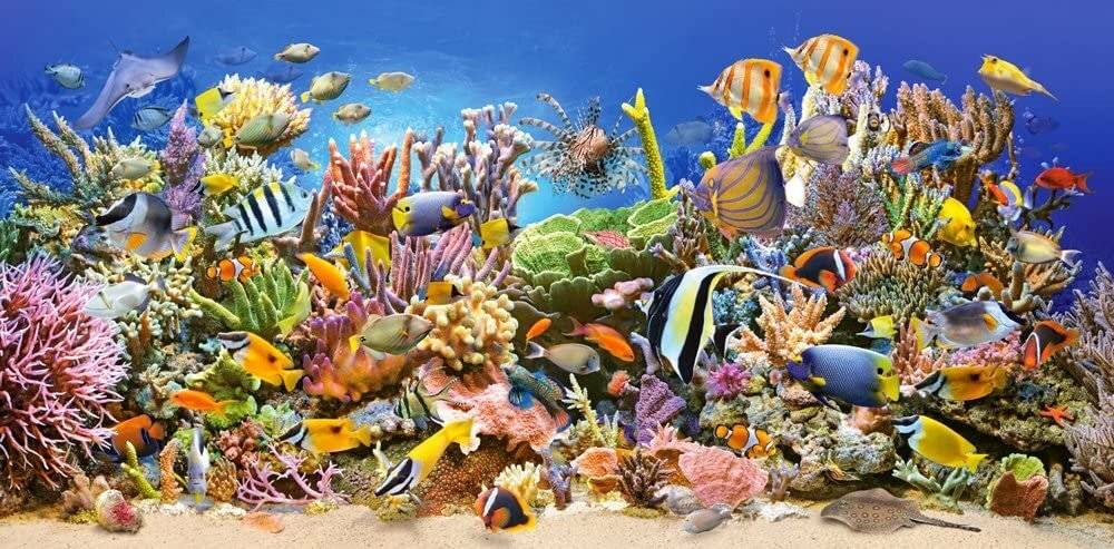 CASTORLAND Puzzle Unterwasserwelt 4000 Teile