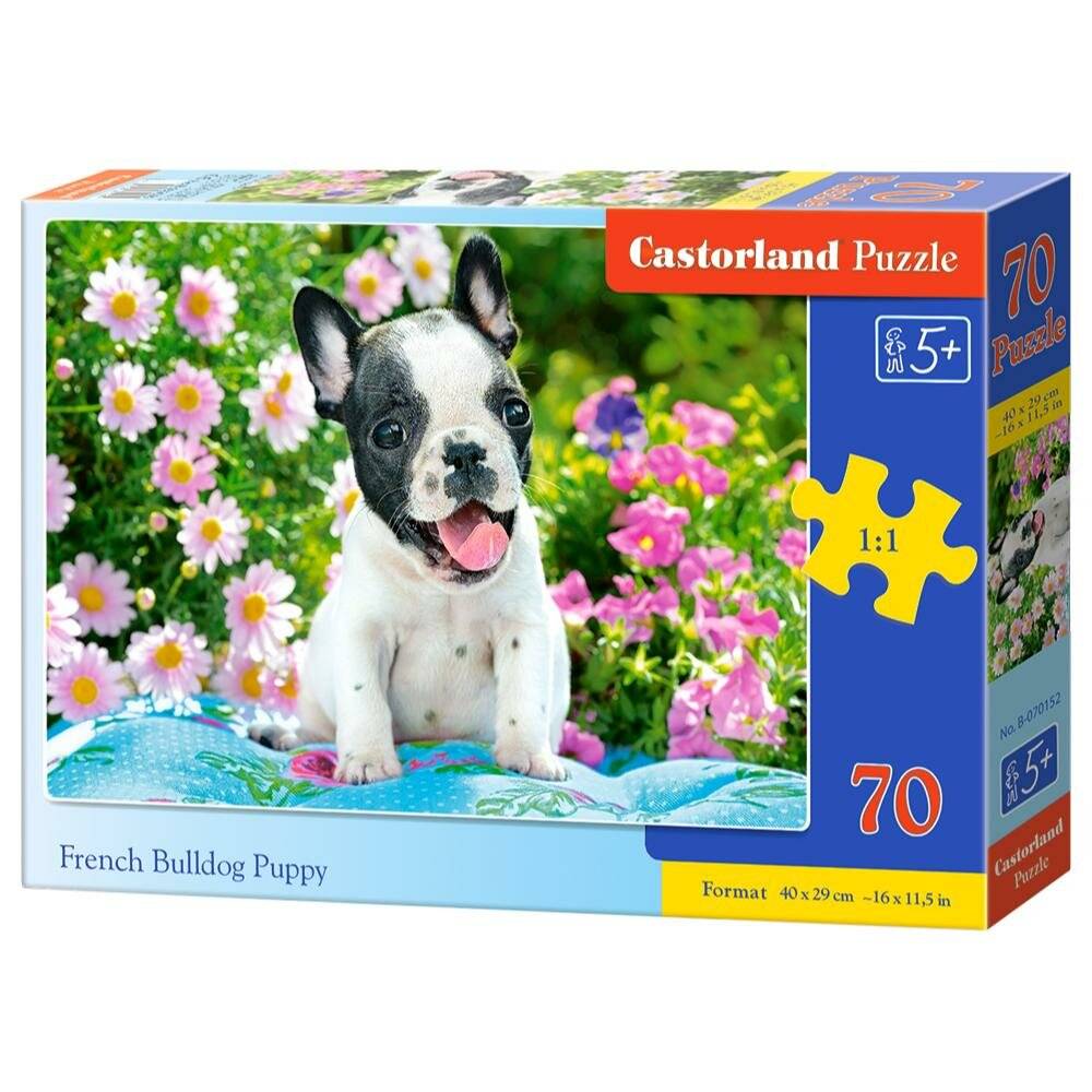 CASTORLAND Französische Bulldogge Welpe Puzzle 70 Teile