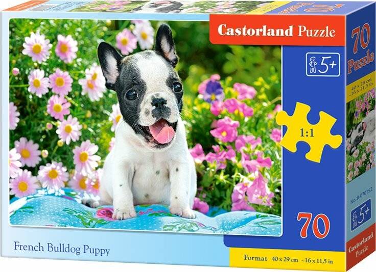 CASTORLAND Französische Bulldogge Welpe Puzzle 70 Teile