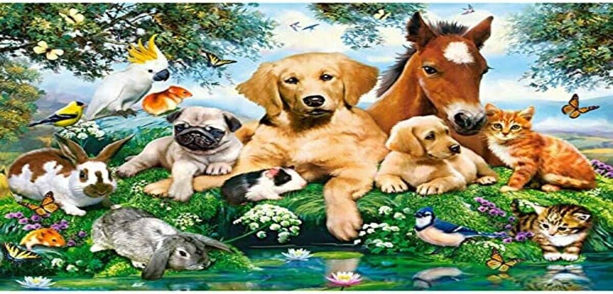 CASTORLAND Puzzle Sommerfreunde 500 Teile