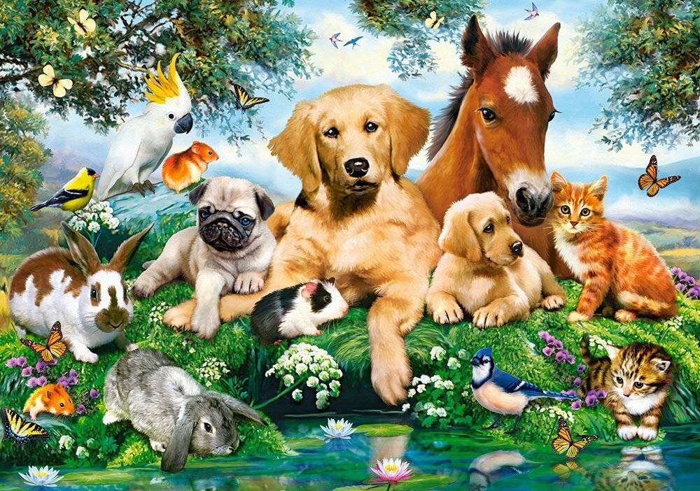 CASTORLAND Puzzle Sommerfreunde 500 Teile