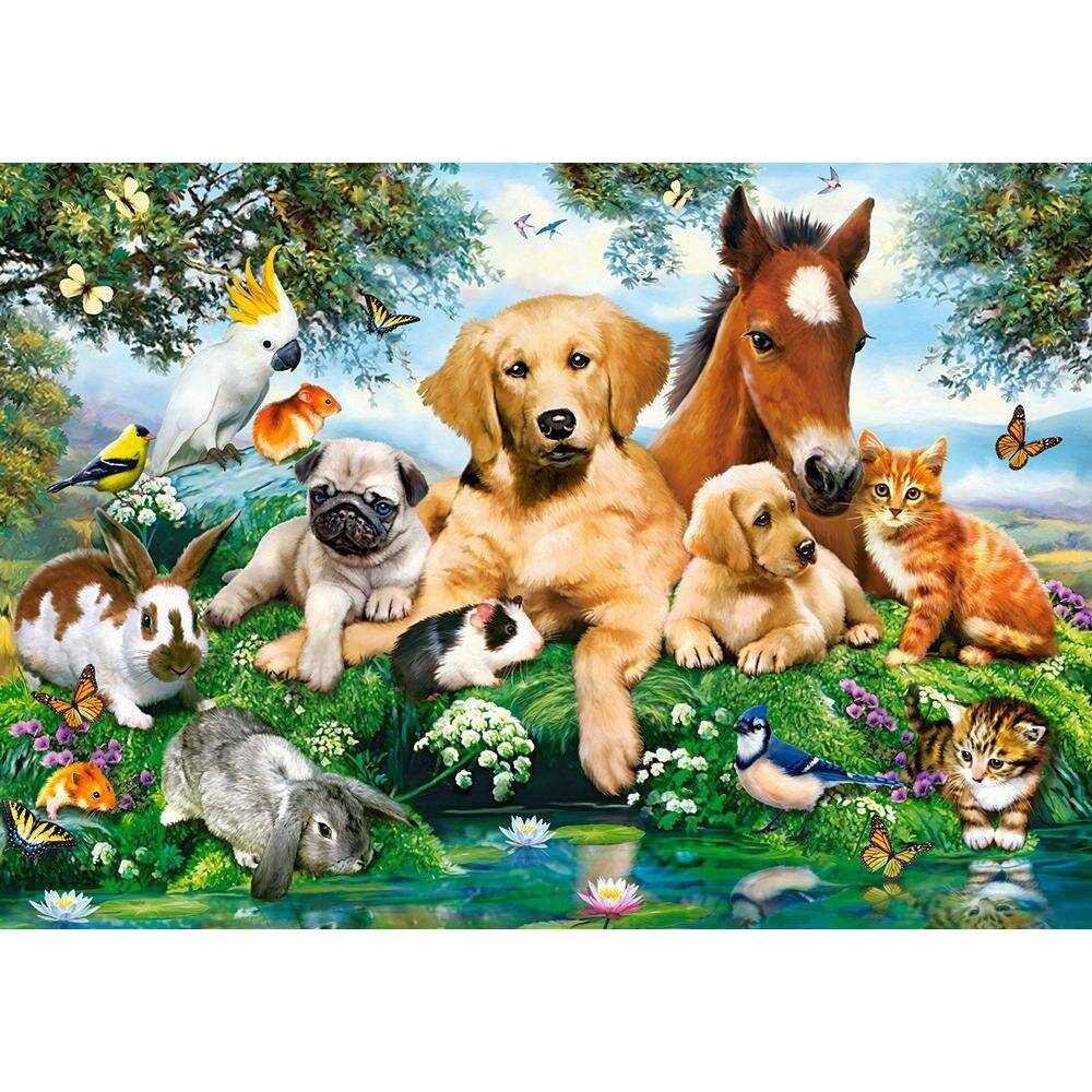CASTORLAND Puzzle Sommerfreunde 500 Teile
