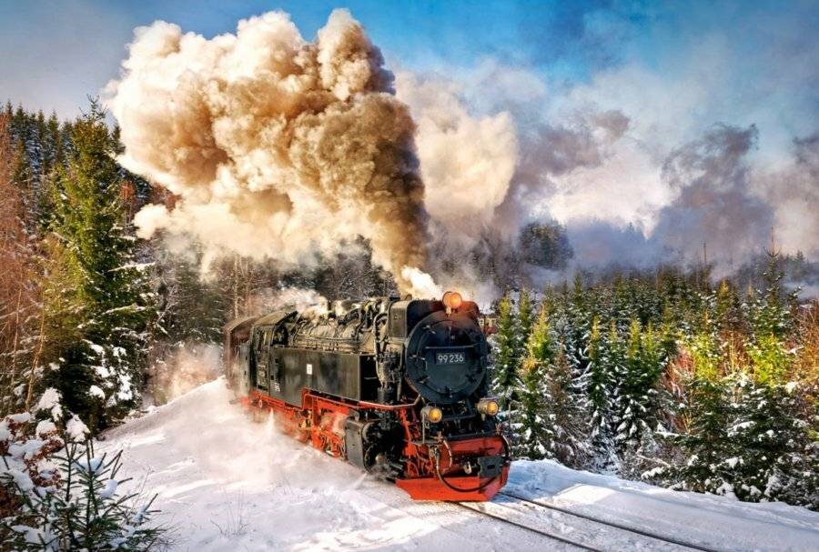 CASTORLAND Dampfzug Puzzle 1000 Teile