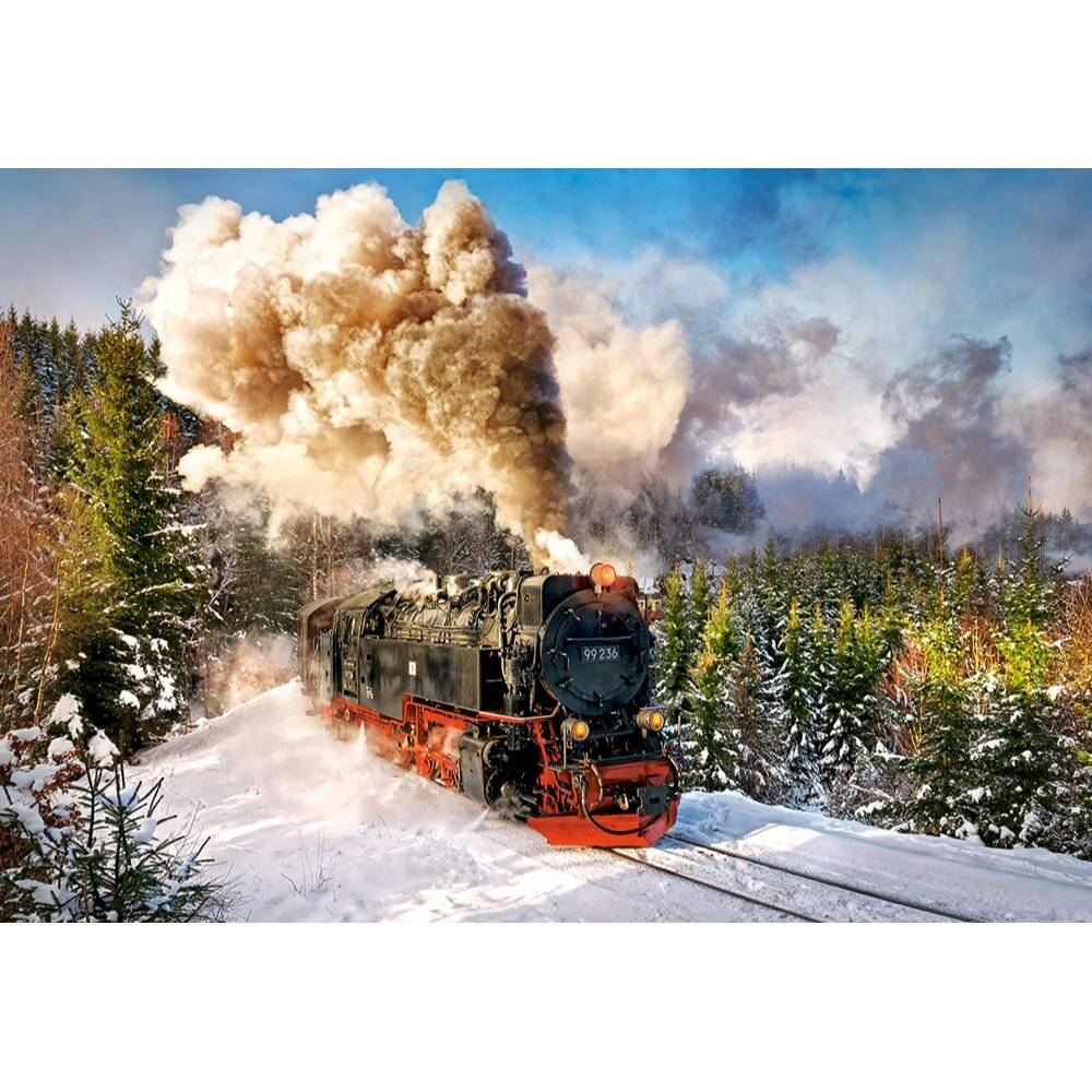 CASTORLAND Dampfzug Puzzle 1000 Teile