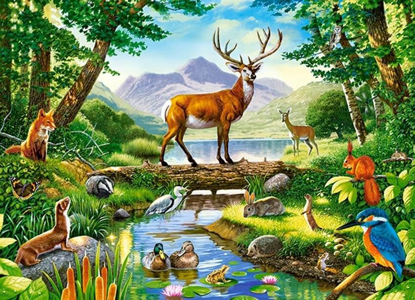 CASTORLAND Puzzle Harmonie des Waldes 300 Teile