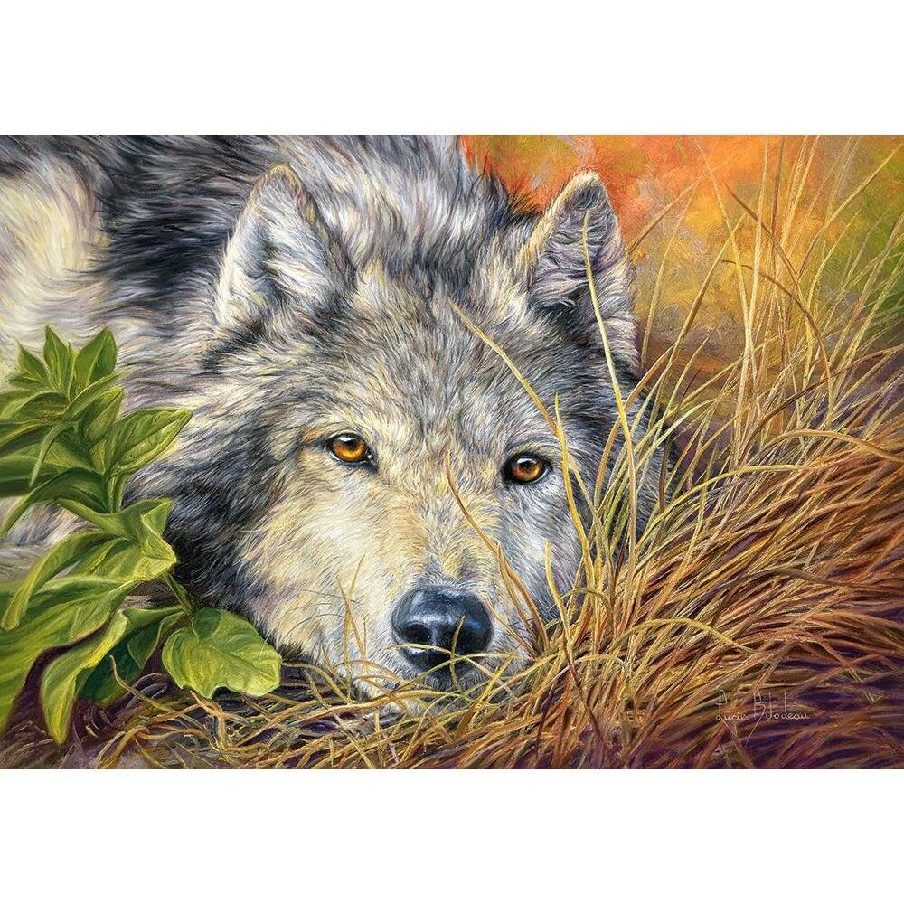 CASTORLAND Puzzle Pure Soul 500 Teile