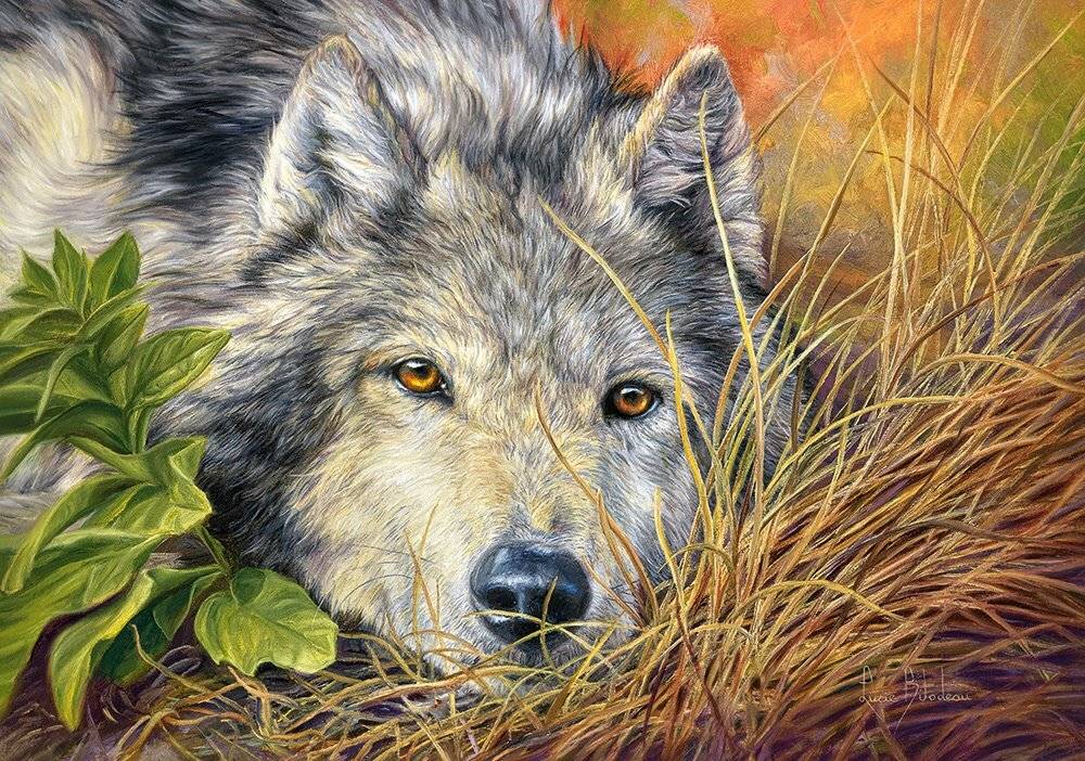 CASTORLAND Puzzle Pure Soul 500 Teile
