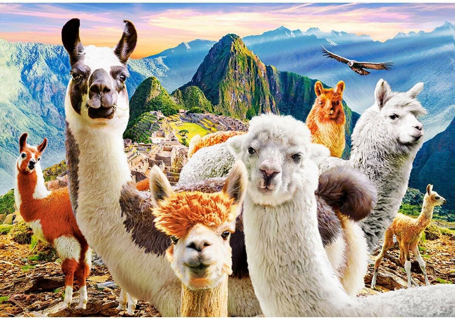 CASTORLAND Puzzle Selfie Lama auf Macchu Picchu 1000 Teile