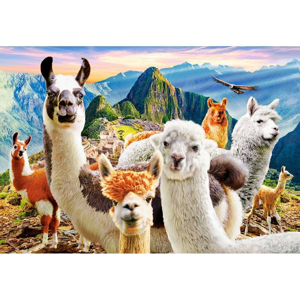 CASTORLAND Puzzle Selfie Lama auf Macchu Picchu 1000 Teile