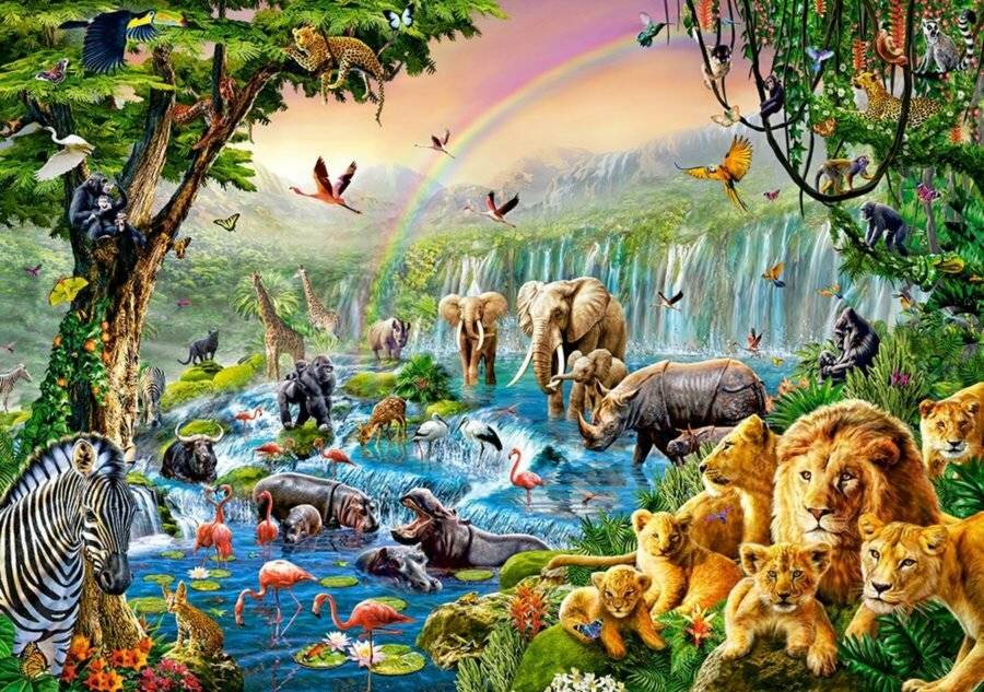 CASTORLAND Dschungel Fluss Puzzle 500 Teile