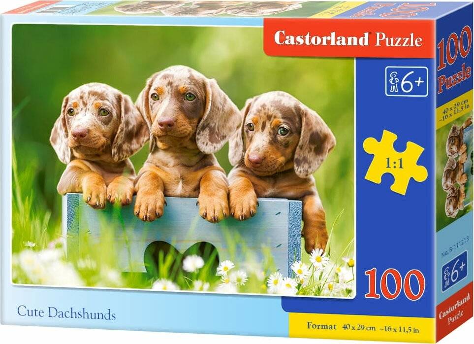 CASTORLAND Puzzle Niedliche Dackel 100 Teile
