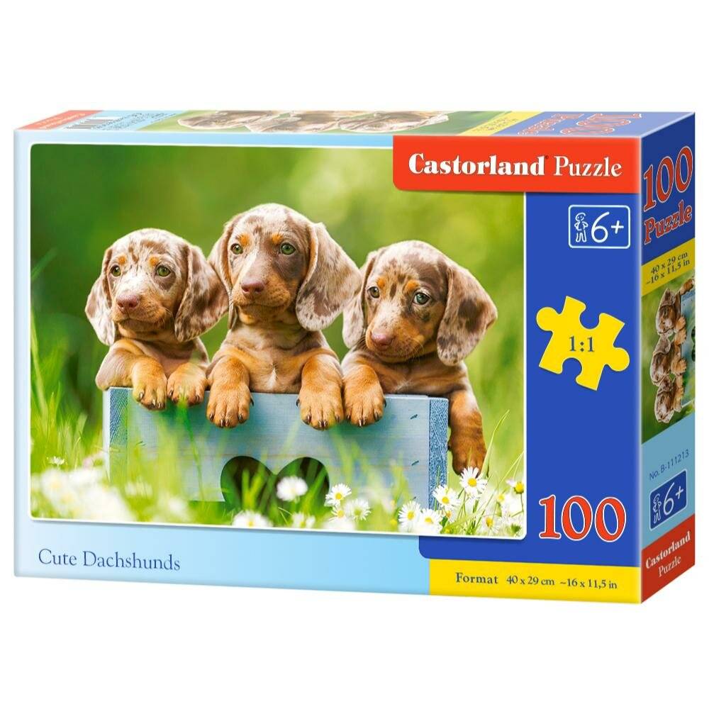 CASTORLAND Puzzle Niedliche Dackel 100 Teile
