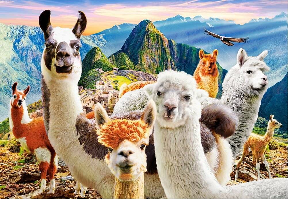 CASTORLAND Llama Selfie Puzzle 200 Teile