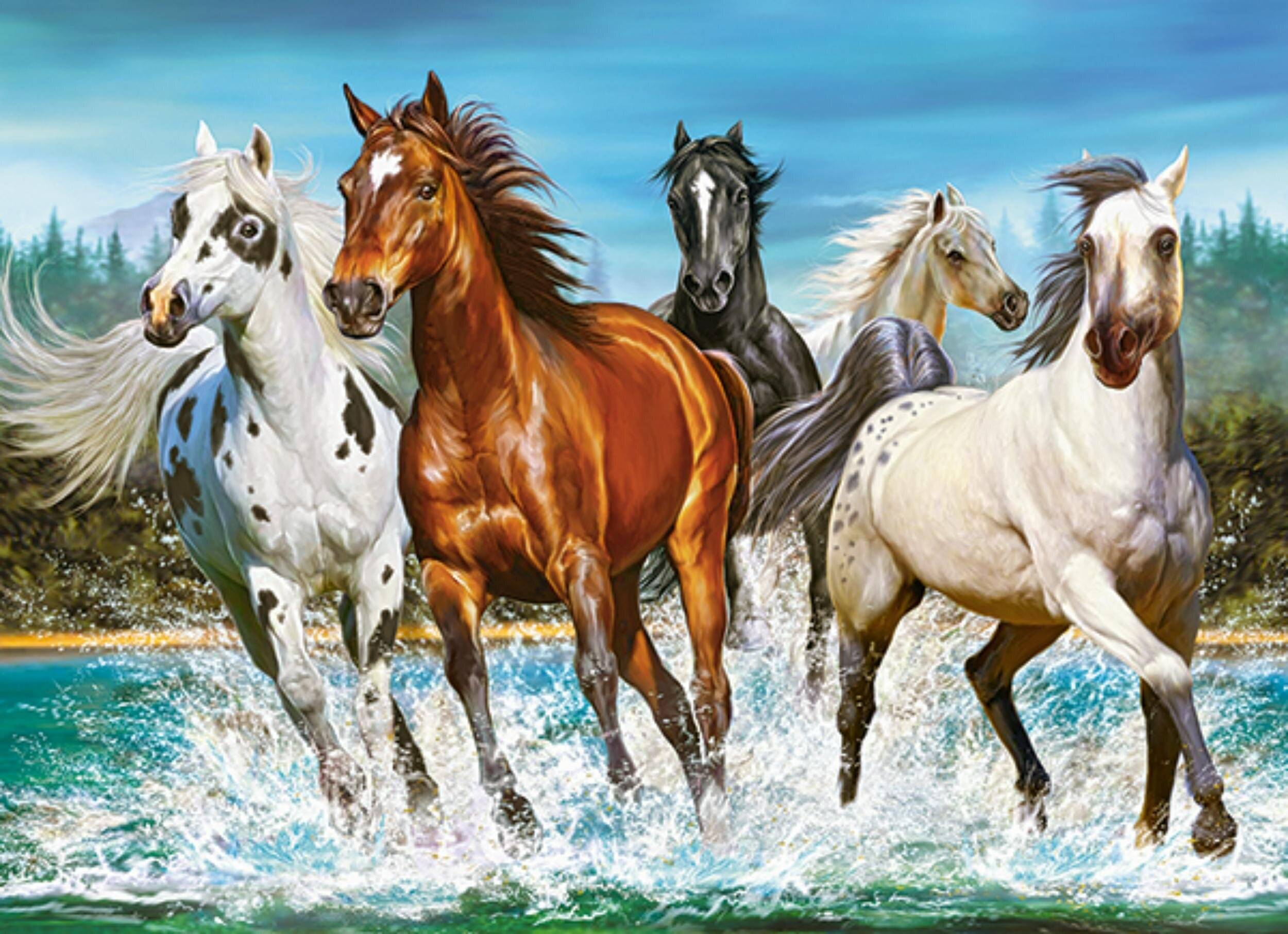 CASTORLAND Puzzle Ruf der Natur 200 Teile