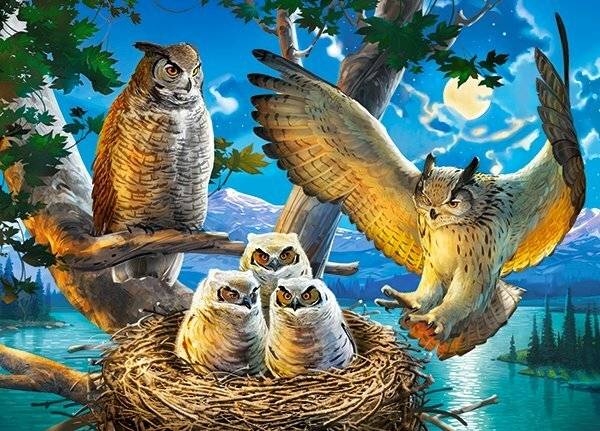 CASTORLAND Eule Familienpuzzle 180 Teile