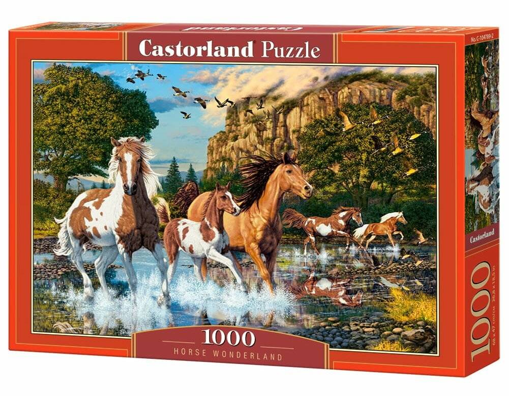 CASTORLAND Puzzle Pferdewunderland 1000 Teile