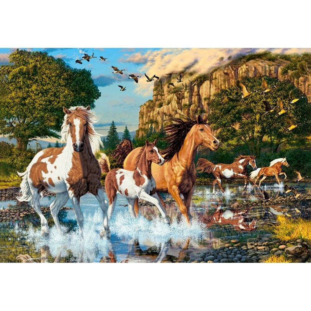 CASTORLAND Puzzle Pferdewunderland 1000 Teile