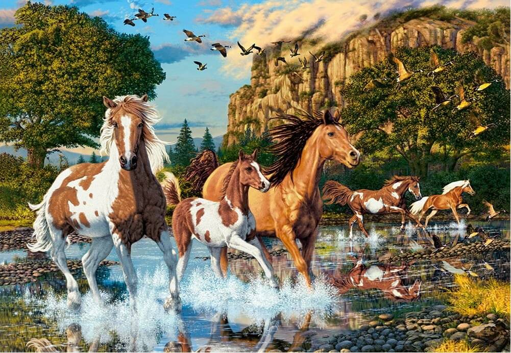 CASTORLAND Puzzle Pferdewunderland 1000 Teile
