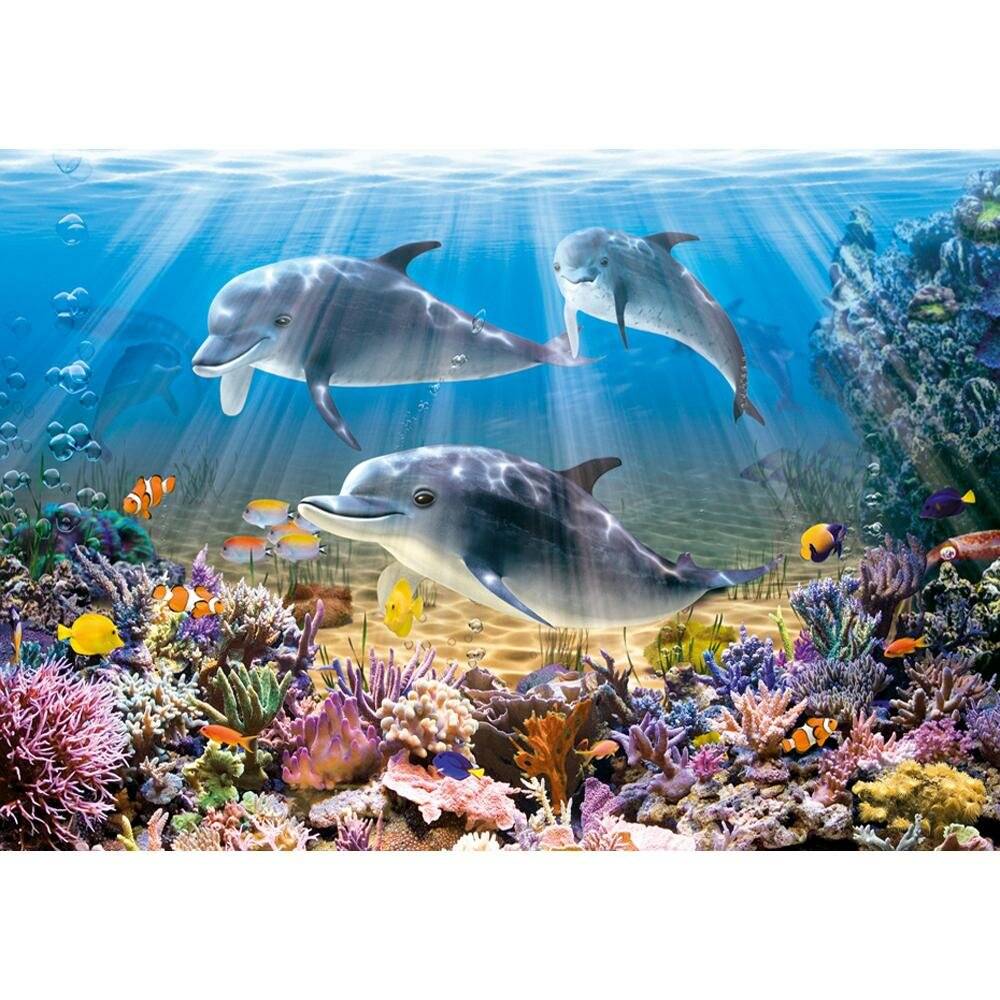 CASTORLAND Puzzle Delphine 500 Teile