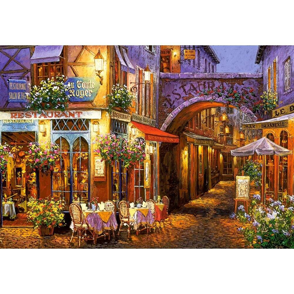 CASTORLAND Puzzle Abend in der Provence 1000 Teile