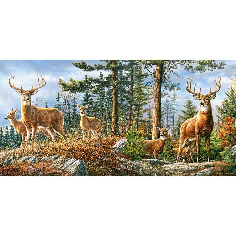 CASTORLAND Puzzle Royal Deer Family 4000 Teile