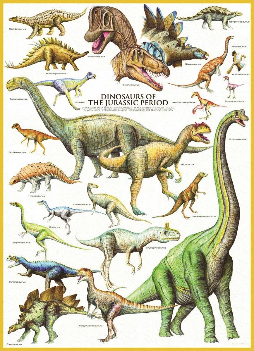 EUROGRAPHICS Puzzle Dinosaurier aus der Jurazeit 1000 Teile
