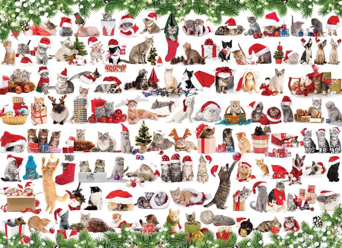 EUROGRAPHICS Puzzle Weihnachten Katzen 1000 Teile