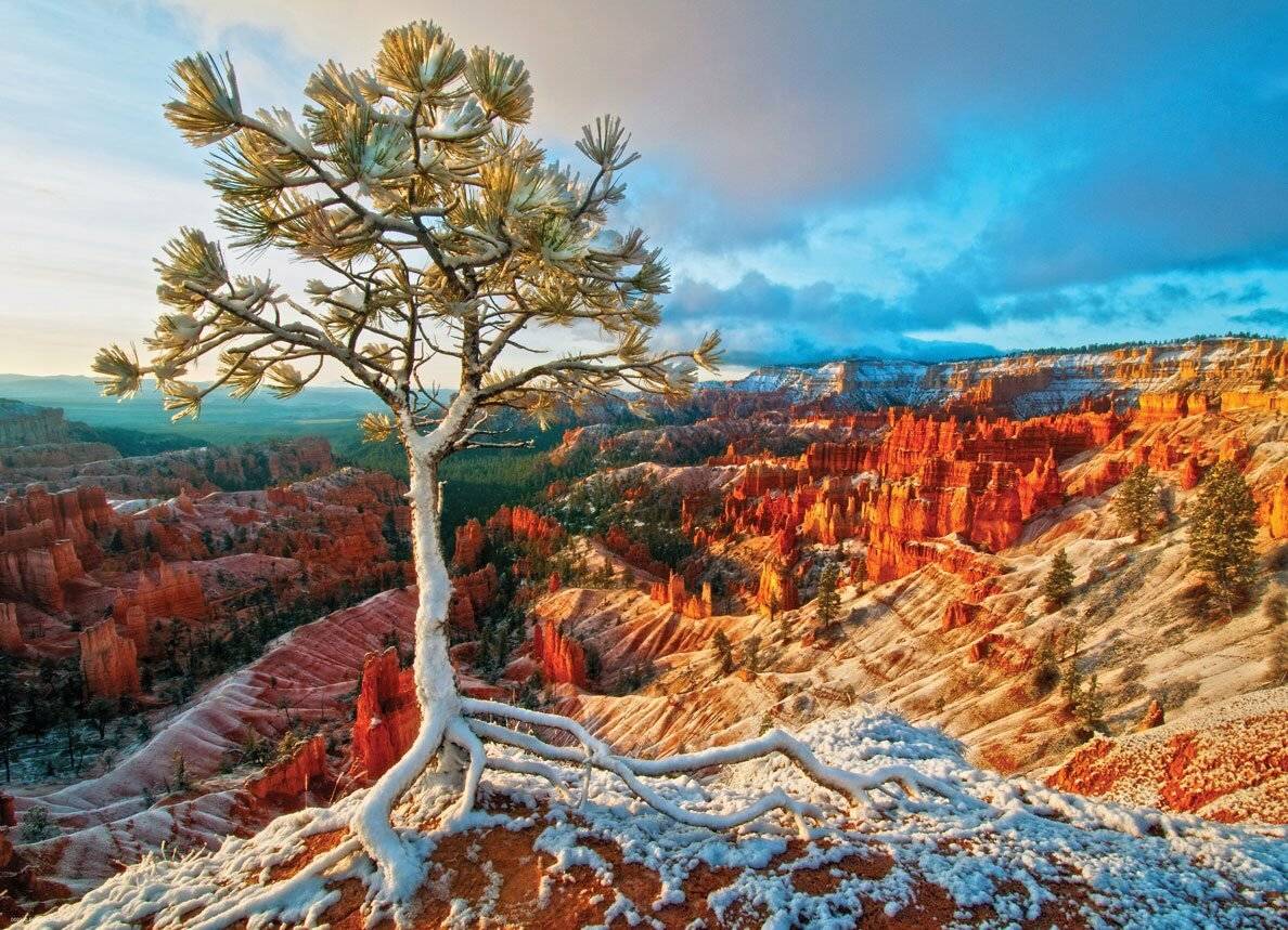 EUROGRAPHICS Winterdämmerung Puzzle, Bryce Canyon (HDR) 1000 Teile