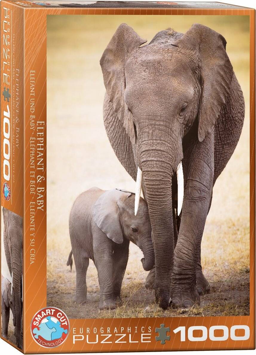 EUROGRAPHICS Puzzle Elefant und Elefant 1000 Teile