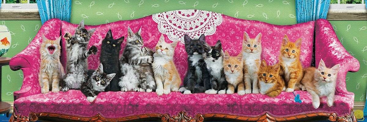 EUROGRAPHICS Panoramapuzzle Katzen auf dem Katzensofa 1000 Teile